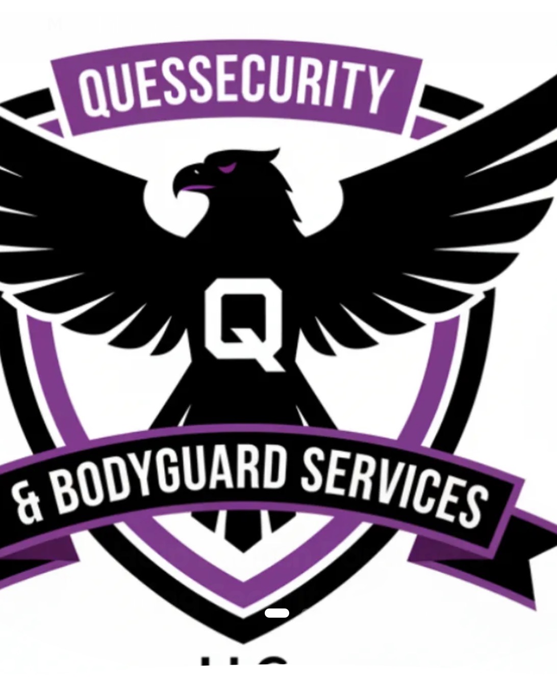 Quessecurity
